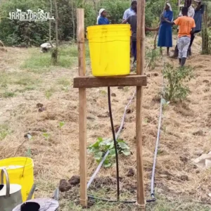 20-litre bucket drip irrigation kit set up at KIOF, watering vegetable rows efficiently