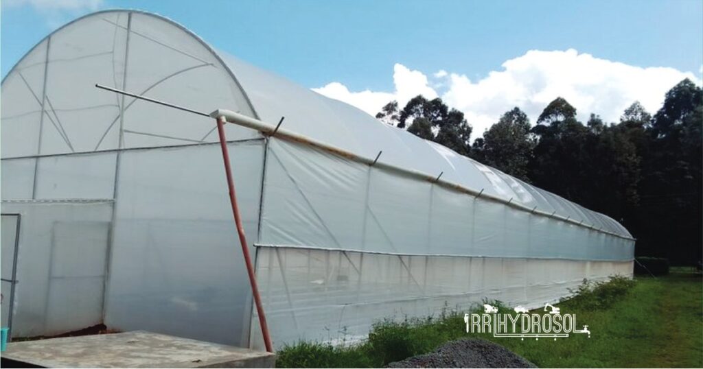 Tunnel-style greenhouse with arched galvanized steel frame and roll-up ventilation sides