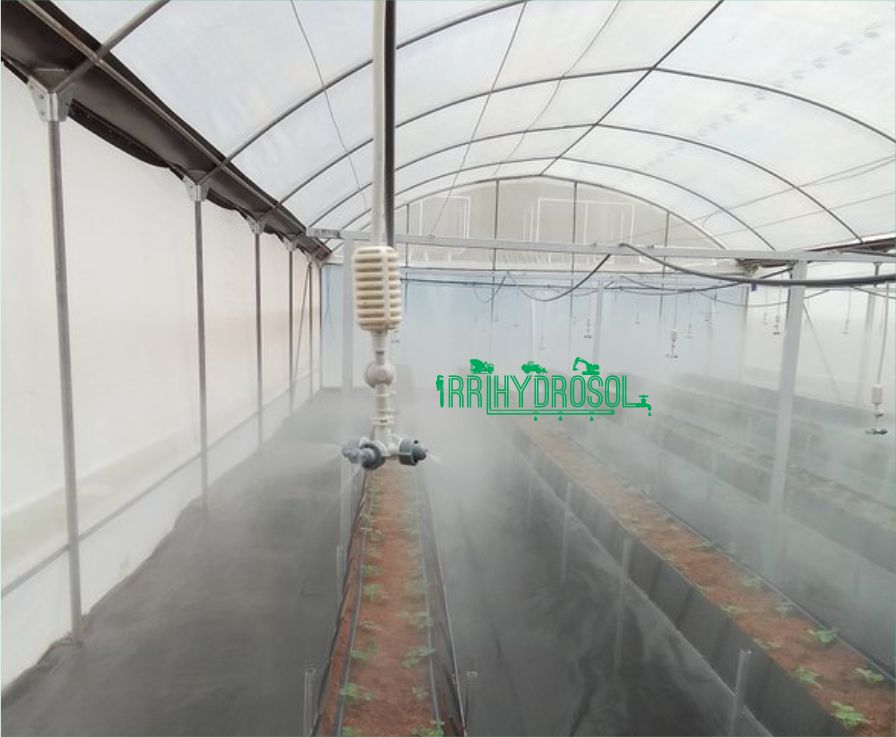 A fine misting system operating inside a greenhouse to regulate humidity and temperature for optimal plant growth.