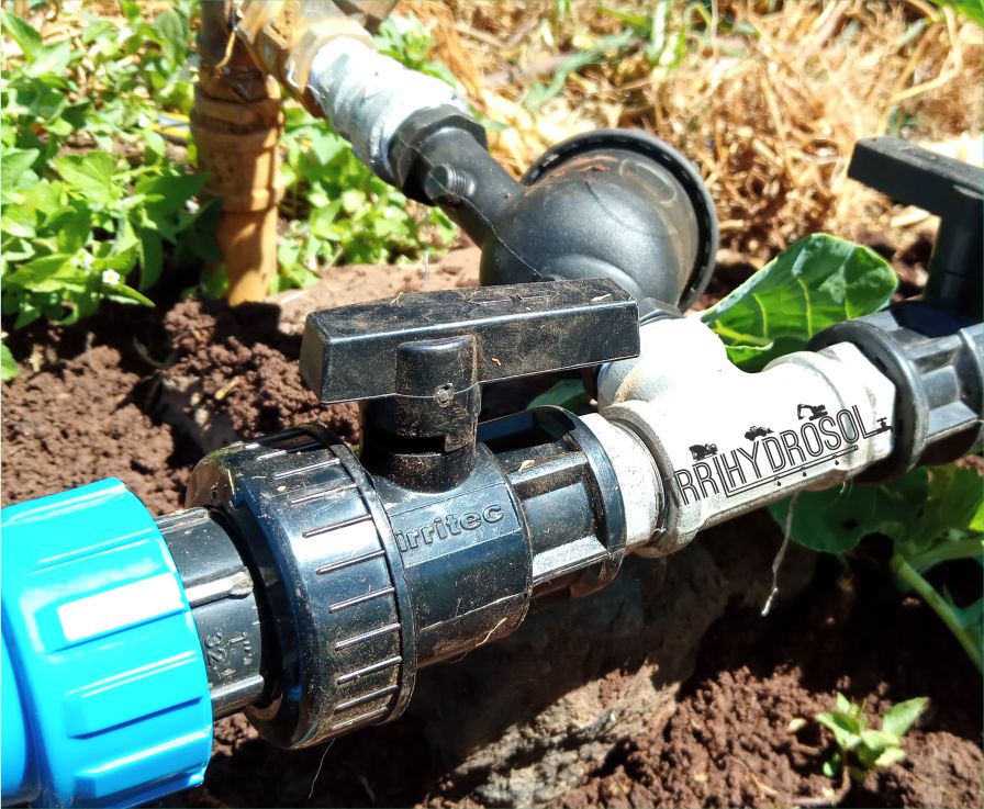 A water filter connected to a tee section that branches into two PE gate valves for controlled water distribution