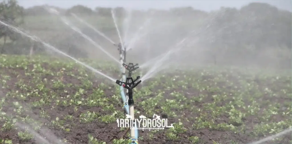 Wide sprinkler irrigation system creating rainbow effect while watering crops in Kenyan farm.
